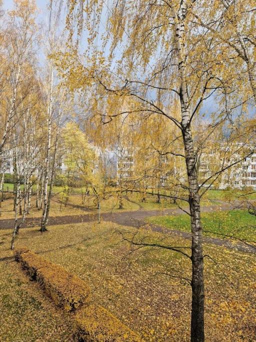 Ilguciema Apartment Рига Екстериор снимка